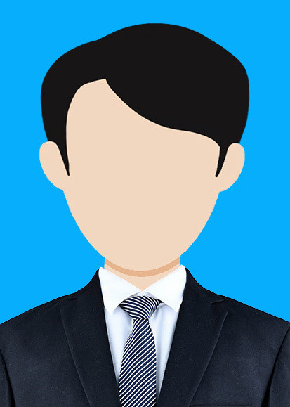 Global Sales Director